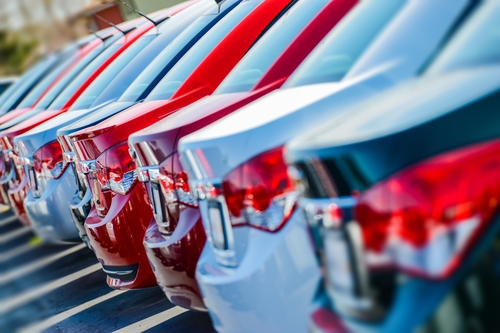 Car Dealership - line of brand new cars